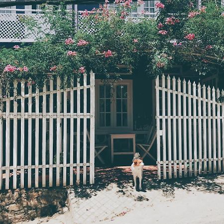 Nha Tim Homestay Đà Lạt Exterior foto